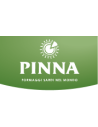 Pinna